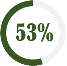 53Percent