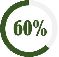 60Percent